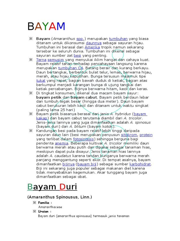BAYAM | PDF
