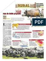 RURAL Revista de ACB Color - 16 Febrero 2011 - PARAGUAY - PORTALGUARANI