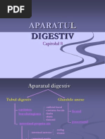 Aparatul digestiv