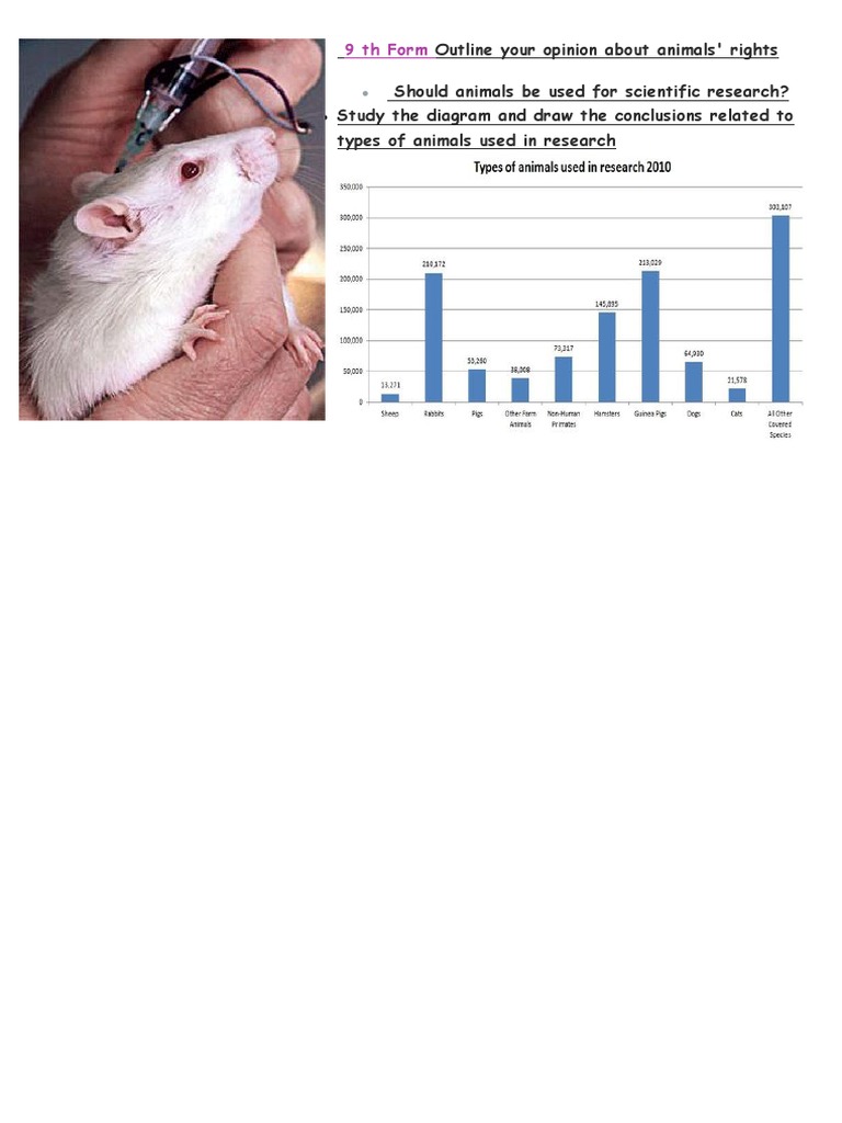 Animals' Rights in Scientific Research | PDF | Technology & Engineering