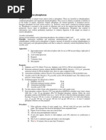 Download Soluble Reactive Phosphorus by mahfi222ju SN24499429 doc pdf