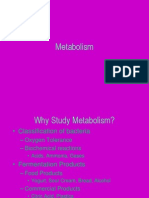 238560494-Metabolism