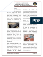 Cáscara de Camarón PDF