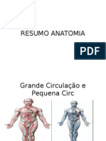 Resumo Anatomia