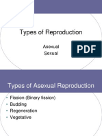 sexual vs  asexual reproduction pp