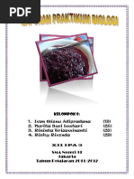 Download Laporan Praktek - Fermentasi Tape Ketan Hitamdocx by trias_doraemon SN245012029 doc pdf