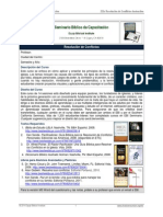 232s Resolución de Conflictos Instructivo PDF