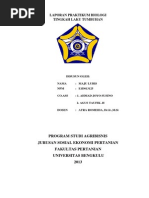 Download Laporan Praktikum Biologi Tentang Tingkah Laku Tumbuhan by Maju Loebis SN245021717 doc pdf