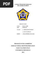 Download Laporan Praktikum Biologi Tentang Sel Makhluk Hidup by Maju Loebis SN245022048 doc pdf