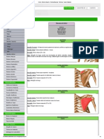 Ombro - Membro Superior - Sistema Muscular - Sistemas - Aula de Anatomia