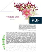 Viator Web 64 Es