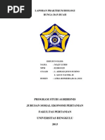 Download Laporan Praktikum Biologi Tentang Bunga Dan Buah by Maju Loebis SN245023245 doc pdf