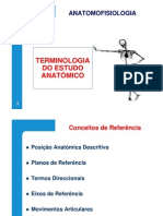 Terminologia Do Estudo Anatómico