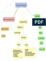 Puruchuco (Mapa Mental)