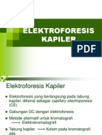 Elektroforesis Kapiler