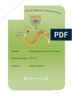 Los nematodos y sus ciclos vitales: anatomía y ecología