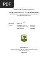 Download LAPORAN PRAKTIKUM FISIOLOGI SERANGGAdocx  by Ukhti SisKa BAe SN245056615 doc pdf