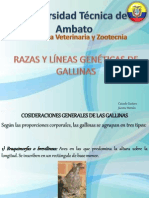 Razas de Gallinas2