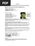 CLONAZEPAM - VEera Isabel - Www.institutoTALADRIZ.com.Ar