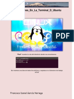 Linux Terminal