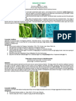 Diseases of Paddy PDF