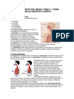 Tema 3. Cómo funciona nuestro cuerpo.