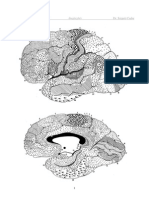 veszélyes pikkelyes papilloma