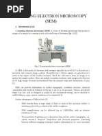 Scanning Electron Microscope