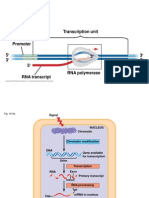 Moodle Chapters 18-20.pptx