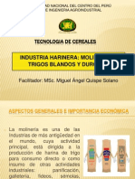 INDUSTRIA HARINERA.pdf