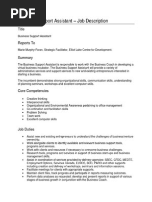 Business Support Job Description Pdf
