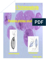 Trichomonas SPP 2014 (Modo de Compatibilidad)