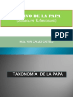 Taxonomia y Morfologia de La Papa