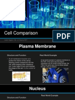 Cell Comparison Powerpoint