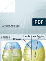 Articulaciones Del Cráneo