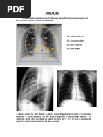 Radiologia - apostila 3