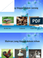 Tempat Tinggal Haiwan