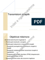 Transmisioni Sinaptik