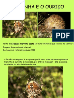 A Aranha e o Ouriço