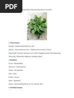 Download Keladi Tikus by Alin Nailul Muna SN245173593 doc pdf