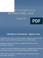 Respiratorni Lanac