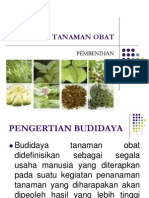 BUDIDAYA TANAMAN OBAT PEMBENIHAN(1).ppt