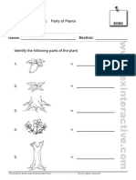 WWW Exinter Activ: Activity Sheet No. 32: Parts of Plants