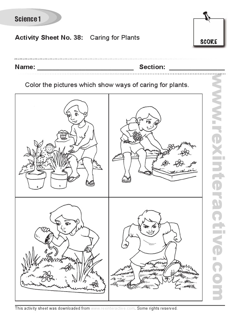 Caring for Plants Activity Sheet | PDF | Teaching Methods & Materials ...