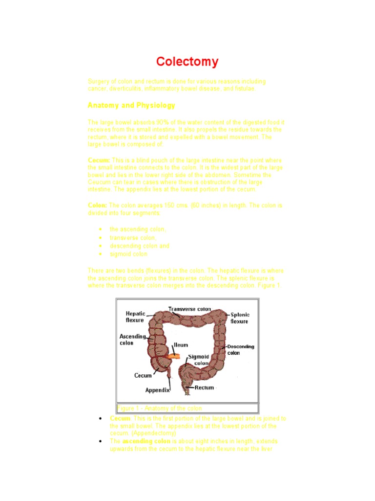 Colectomy Anatomy and Physiology Colorectal Cancer Colonoscopy