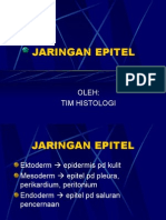 JARINGAN EPITEL-1.ppt