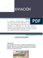 Lixiviacion Diapositivas
