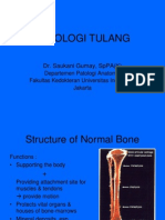Bone Structure, Functions, and Pathology