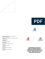 lineamientos-basicos-formulacion-presentacion-proyectos-socio-productivos-enfoque-socialista.pdf