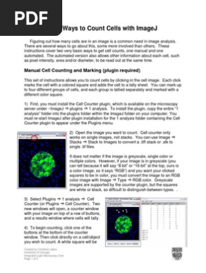 Two Ways To Count Cells With Imagej Manual Cell Counting